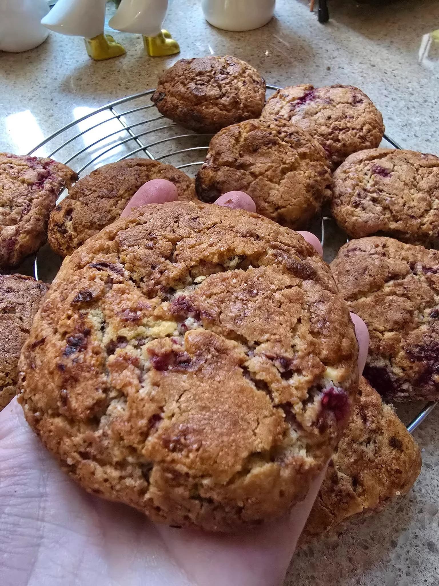 Cookies with nuts and chocolate chips.